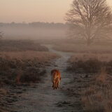 Foto van L&R