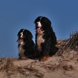 Foto van Anna