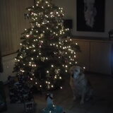 kerst