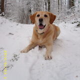 In de sneeuw spelen