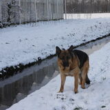 Foto van Inge & Danger