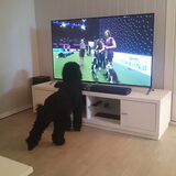 Foto van Marlies met Frøya