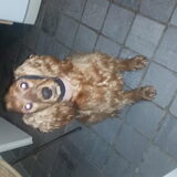 Foto van Rachelle & Hummie