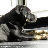 Foto van lorenzo