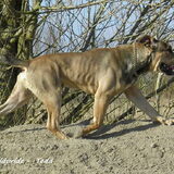 Foto van lorenzo