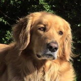Foto van fabienne