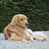 Foto van fabienne