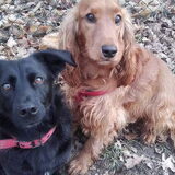 Foto van Rachelle & Hummie