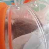 Foto van Jenny & Aston
