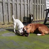Foto van Jeroen & Lola