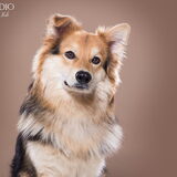Foto van Cethin