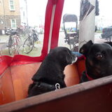 Foto van Roos,Jeff † en Waldo † en Mootje †