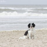 Foto van Angelique; Bruno, Charlie & Fenna