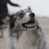 Foto van Angelique; Bruno, Charlie & Fenna