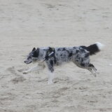 Foto van Angelique; Bruno, Charlie & Fenna