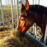 Foto van fabienne