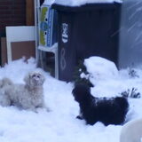 Lekker genieten in de sneeuw !!!