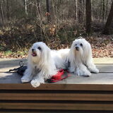 Polly en Loes