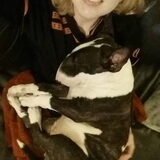Foto van Hannah & Bink† en Beertje