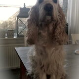 hee hallo....ben ik in beeld :-)