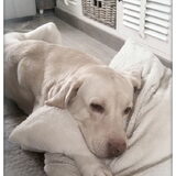 chillen doen we zo :-)