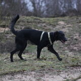 Foto van Naomi