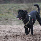 Foto van Naomi
