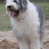 Foto van Naomi