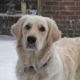 Lekker in de sneeuw!!