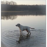 Foto van esther