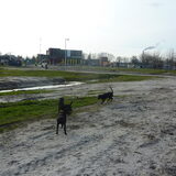 Foto van Roos,Jeff † en Waldo † en Mootje †