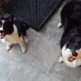 Ruby en Naïn! Twee lieve schatjes