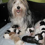 Foto van Marianne Zafiro  R.I.P,Keanu en Jax