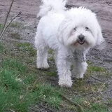 Foto van sylvia