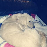 Foto van Kim~Chiva~Nicky†~Queeny ~Bono