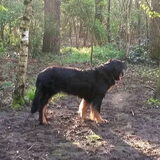 Foto van fabienne