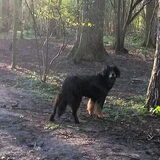 Foto van fabienne