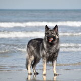 Foto van nicky