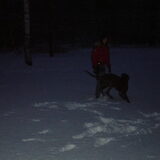 Spelen in de sneeuw