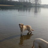 Foto van esther