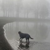 Foto van esther