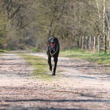 Foto van Naomi