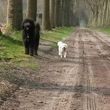 Foto van sylvia
