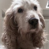 Foto van esther
