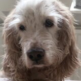 Foto van esther