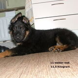 Foto van karin