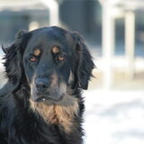 Foto van fabienne