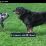 Foto van fabienne