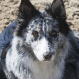 Foto van Angelique; Bruno, Charlie & Fenna