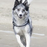 Foto van Angelique; Bruno, Charlie & Fenna